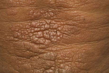 Shutterstock_4134601a.jpg