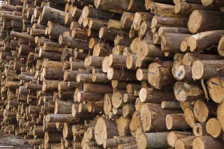 250 Lumber mill Stock Pictures, Editorial Images and Stock Photos ...