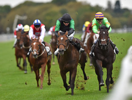 Horse Racing from Windsor, Britain - 13 Oct 2014
