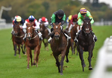 Horse Racing from Windsor, Britain - 13 Oct 2014