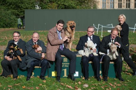 Westminster Dog of the Year, Victoria Tower Gardens, London, Britain - 23 Oct 2014
