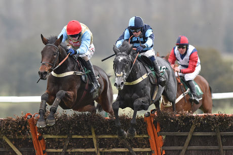 Horse Racing at Towcester racecourse, Northamptonshire, Britain - 06 Nov 2014