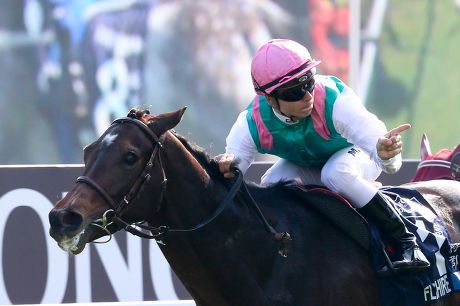 Flintshire Under Maxine Guyon Wins Race Foto de stock de contenido