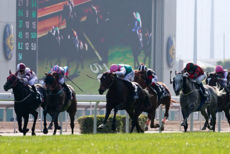 Flintshire Under Maxine Guyon Wins Race Foto stock editorial