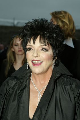 Liza Minnelli Editorial Stock Photo - Stock Image | Shutterstock