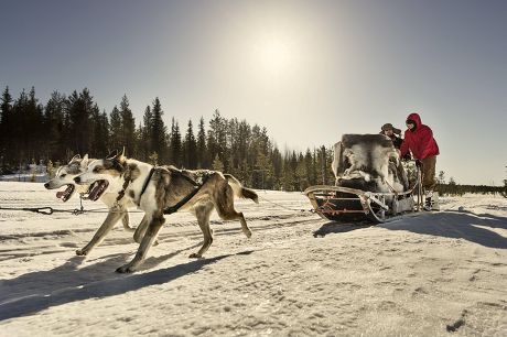 Dougie Lampkin Tundra Trial in the Snow Village in Lainiotie, Finland