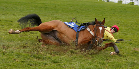 invicta jockey