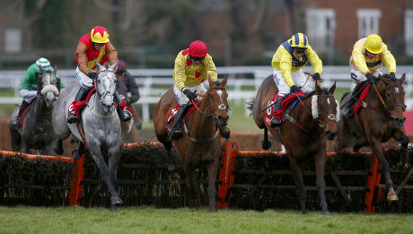 invicta jockey