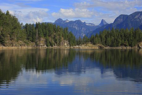 View Coastline Temperate Rainforest Habitat Mount - Foto de stock de