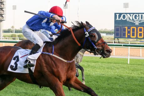 Dubai Meydan Race Track Editorial Stock Photo - Stock Image | Shutterstock