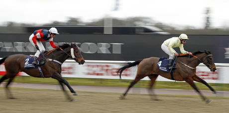 Horse Racing - 13 Feb 2015