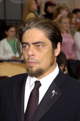 Benicio Del Toro Editorial Stock Photo - Stock Image Shutterstock