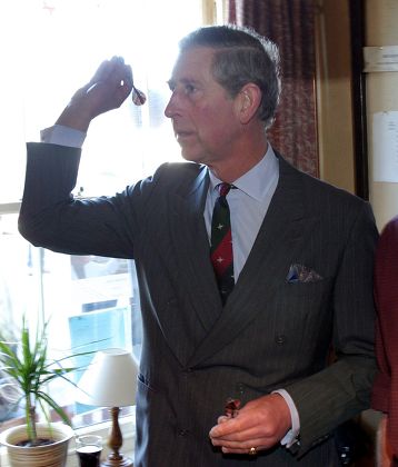 Prince Charles Old Crown See Their Editorial Stock Photo - Stock Image ...