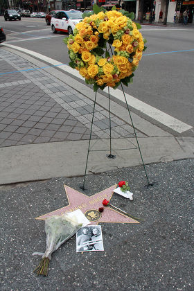 Leonard Nimoy star on the Hollywood Walk of Fame, Los Angeles, America - 27 Feb 2015