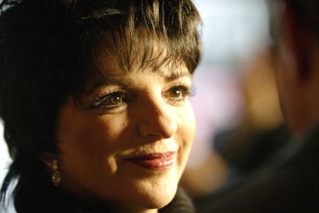 Liza Minnelli Editorial Stock Photo - Stock Image | Shutterstock