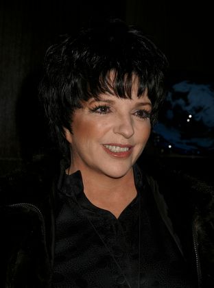 Liza Minnelli Editorial Stock Photo - Stock Image | Shutterstock