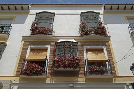 55 Sol bloom Stock Pictures, Editorial Images and Stock Photos ...