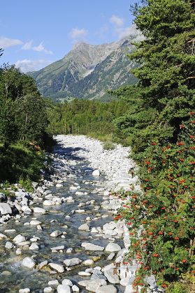 Maira River Mera Vicosoprano Village Val Editorial Stock Photo - Stock ...