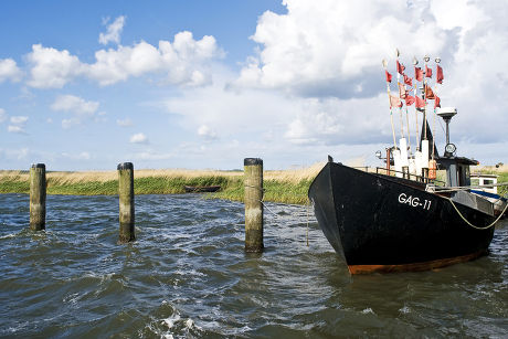 40 Gager Stock Pictures, Editorial Images and Stock Photos Shutterstock