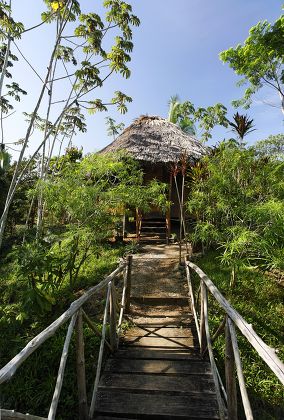 Bungalow Thatched Roof Tropical Forest Flimsy Editorial Stock Photo ...