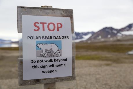 56 Dangers bear Stock Pictures, Editorial Images and Stock Photos ...
