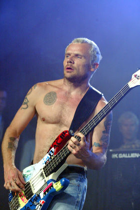 Red Hot Chili Peppers Flea Editorial Stock Photo - Stock Image