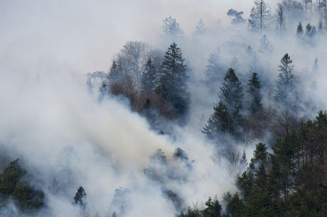 57 Austria disasters Stock Pictures, Editorial Images and Stock Photos ...