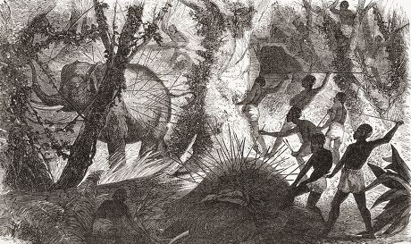 4,000 African natives Stock Pictures, Editorial Images and Stock Photos