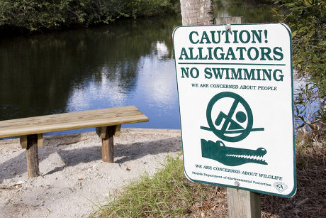 30 Alligator signs Stock Pictures, Editorial Images and Stock Photos ...