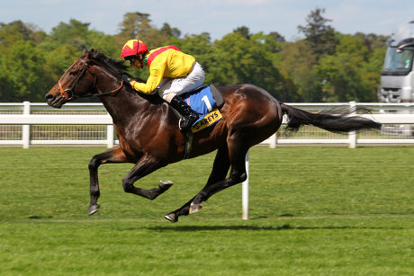 Horse Racing - 9 May 2015