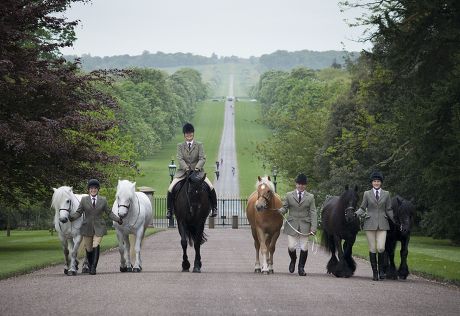 Her Majesty's horses at Windsor Castle on the eve of Royal Windsor Horse Show, Britain - 12 May 2015