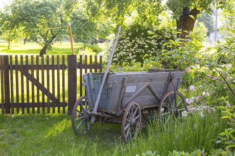 250 Hay wagon Stock Pictures, Editorial Images and Stock Photos