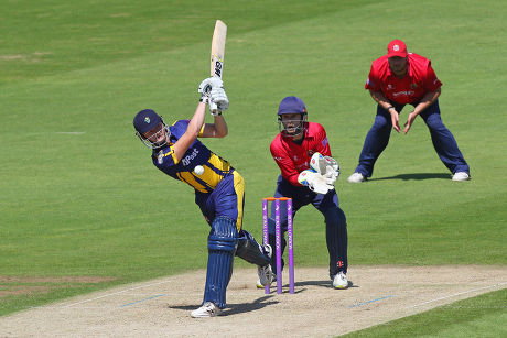 Image showcasing Image result for cricket nutrition for reproduction