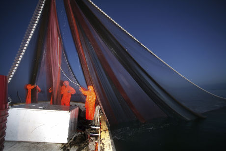 Sardine Fishing Boat Jastreb Based Kali Editorial Stock Photo - Stock ...