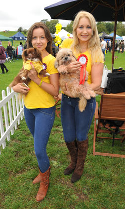 PupAid Puppy Farm Awareness Day, London, Britain - 05 Sep 2015