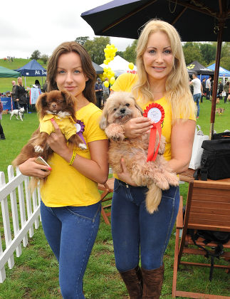 PupAid Puppy Farm Awareness Day, London, Britain - 05 Sep 2015