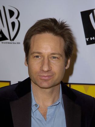 David Duchovny Editorial Stock Photo - Stock Image | Shutterstock