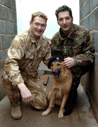 DAUNCEY A DOG RESCUED FROM IRAQ BY MEMBERS OF THE CHESHIRE REGIMENT IN QUARANTINE IN CHESTER, BRITAIN - JAN 2005