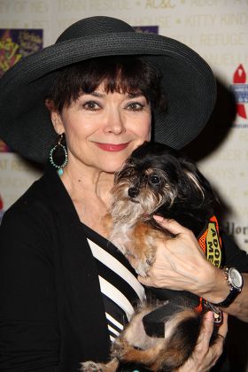 Broadway Barks! Lucky 13th Annual Adopt-A-Thon, New York, America - 09 Jul 2011