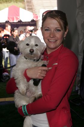 Melissa Joan Hart Her Dog Copper Editorial Stock Photo - Stock Image ...