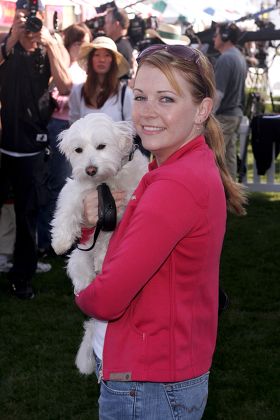 Melissa Joan Hart Her Dog Copper Editorial Stock Photo - Stock Image ...