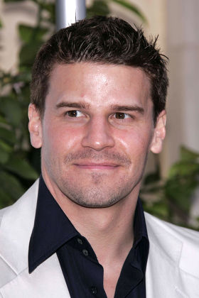 David Boreanaz Editorial Stock Photo - Stock Image | Shutterstock