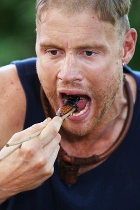 Freddie Flintoff Editorial Stock Photo - Stock Image | Shutterstock