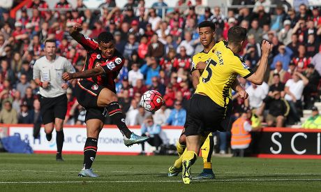 AFC Bournemouth : Premier League 2015/16