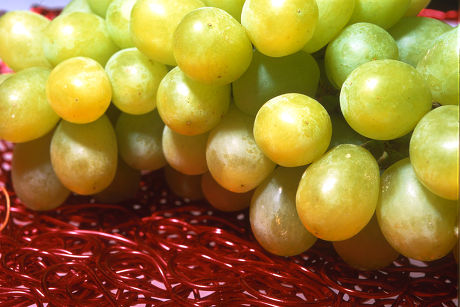 31 Seedless Fruit Stock Pictures Editorial Images And Stock Photos 31 Seedless Fruit Stock Pictures Editorial Images And Stock Photos