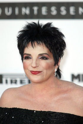 Liza Minnelli Editorial Stock Photo - Stock Image | Shutterstock