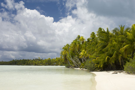 82 Rangiroa french polynesia Stock Pictures, Editorial Images and Stock ...