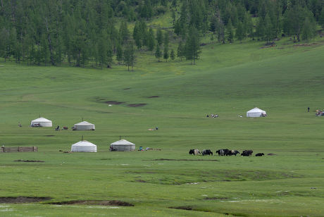 44 Nomads in camps Stock Pictures, Editorial Images and Stock Photos ...