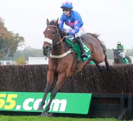 Cue Card Paddy Brennan On Way Editorial Stock Photo - Stock Image ...