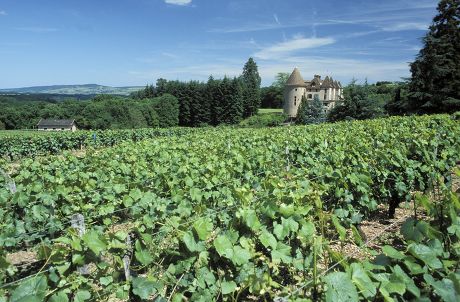 Douanxi (Burgundy)